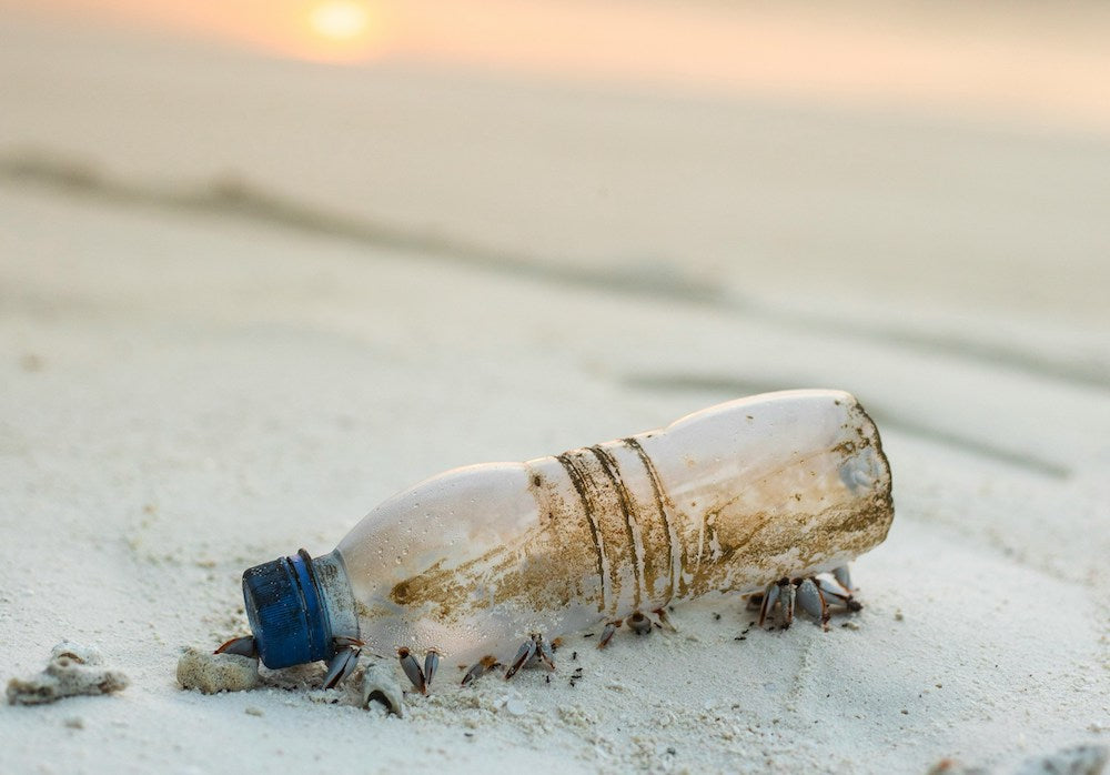 What A New Study On Microplastics Means For Our Health