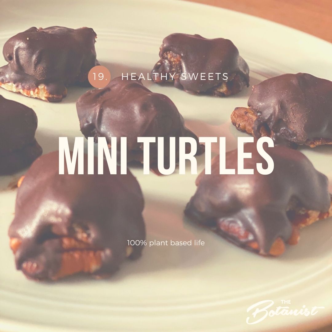 Mini Turtles
