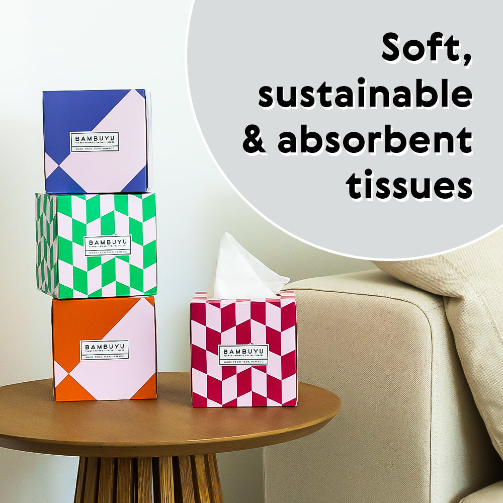 Bamboo Facial Tissue Box (12 pack)