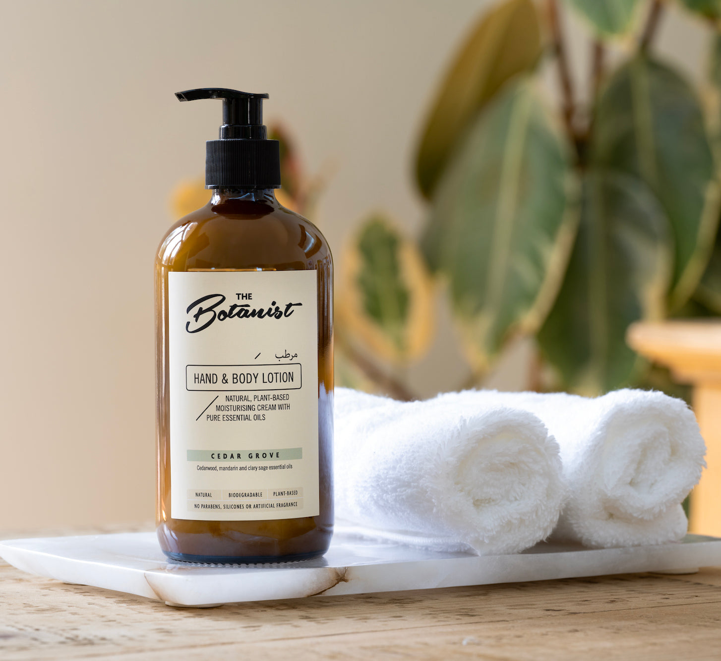 Hand and Body Lotion