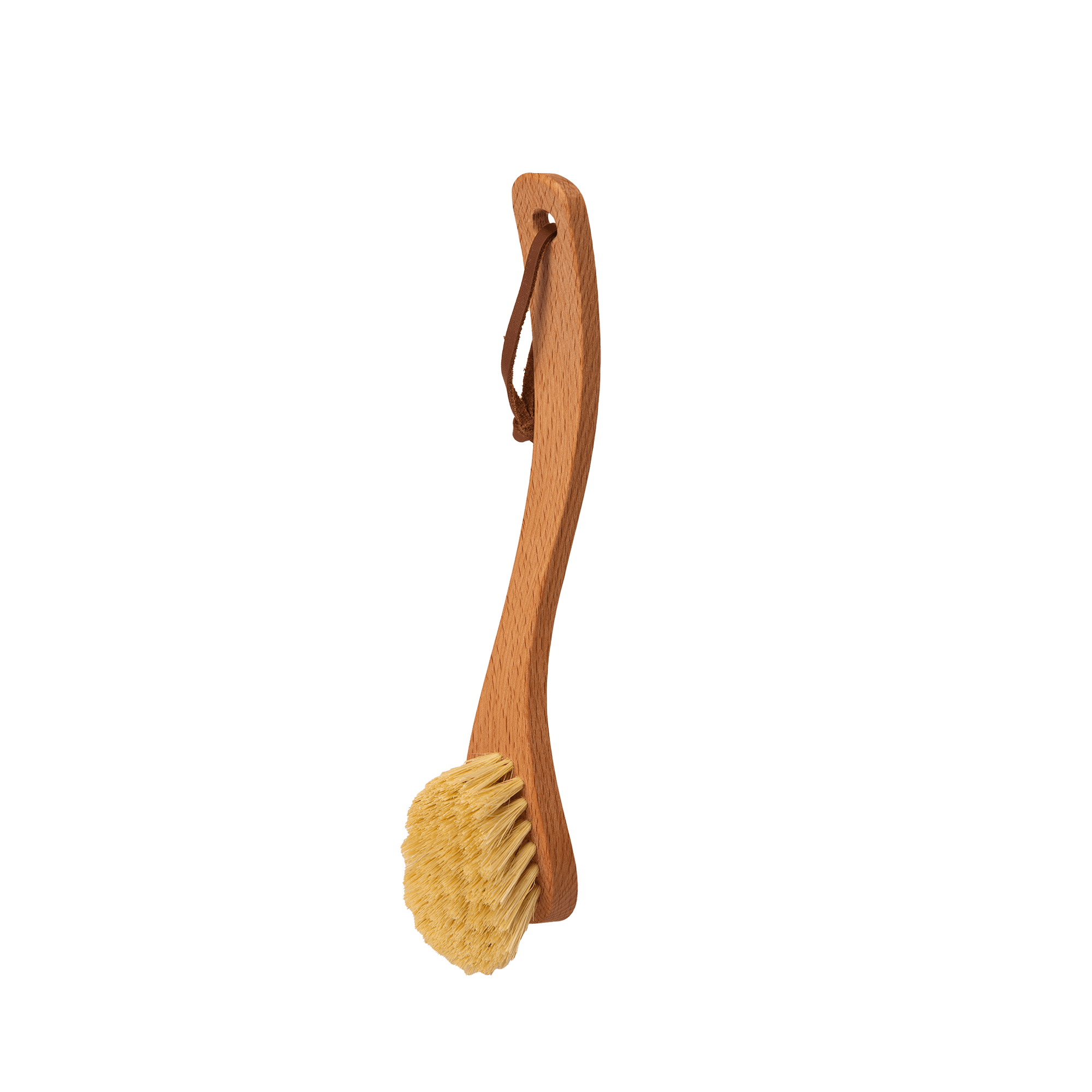 Dish Brush