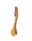 Dish Brush