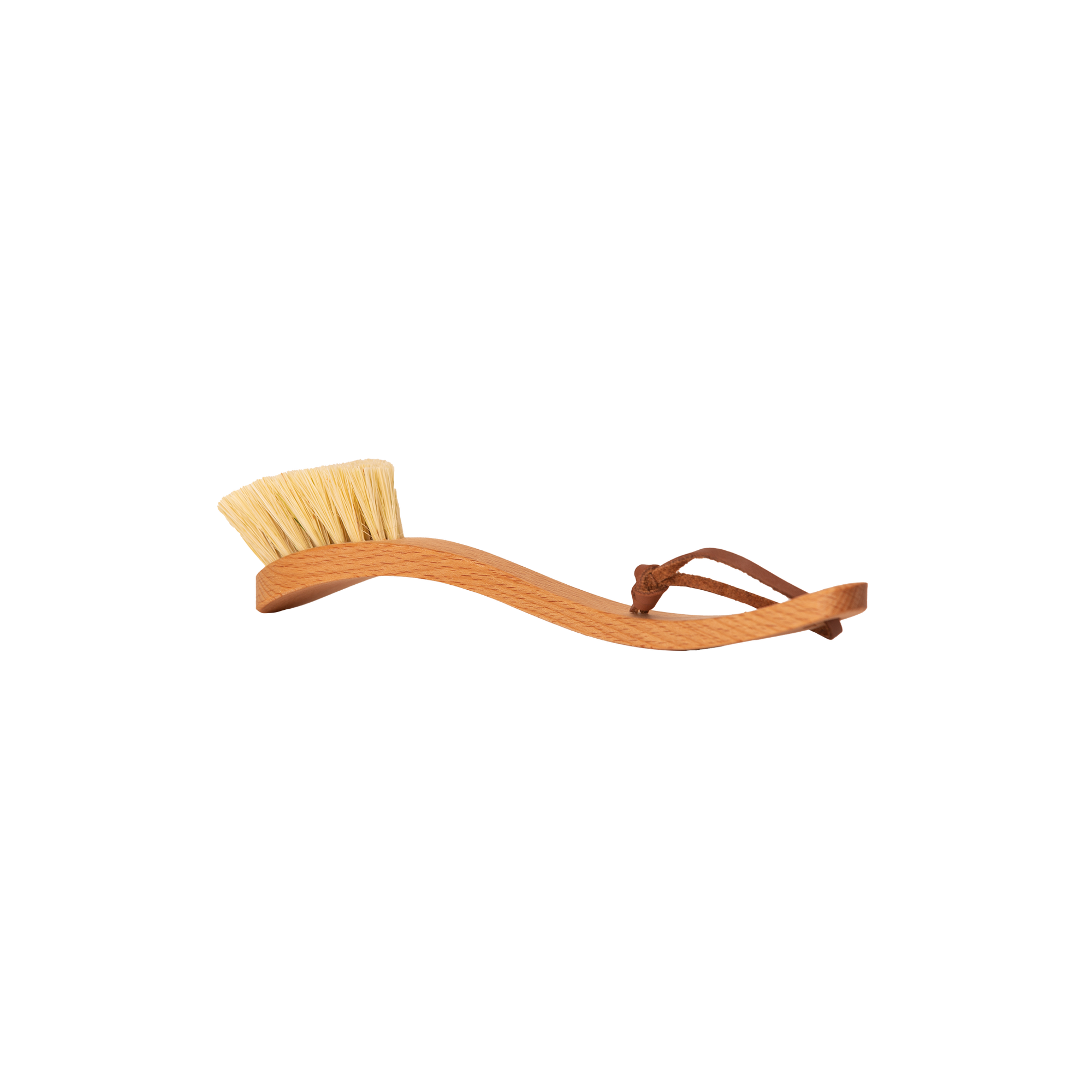 Dish Brush