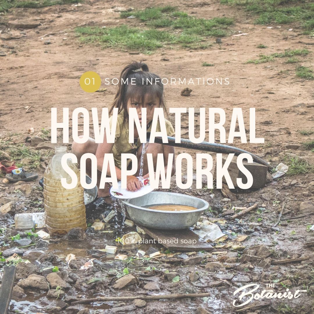 12. Why Soap Works