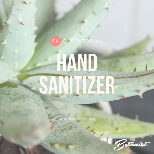 10. DIY HANDS SANITIZER
