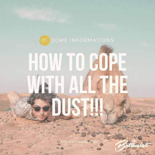 8. How to cope with all the dust!
