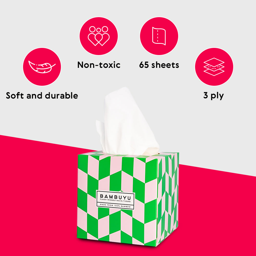 Bamboo Facial Tissue Box (12 pack)