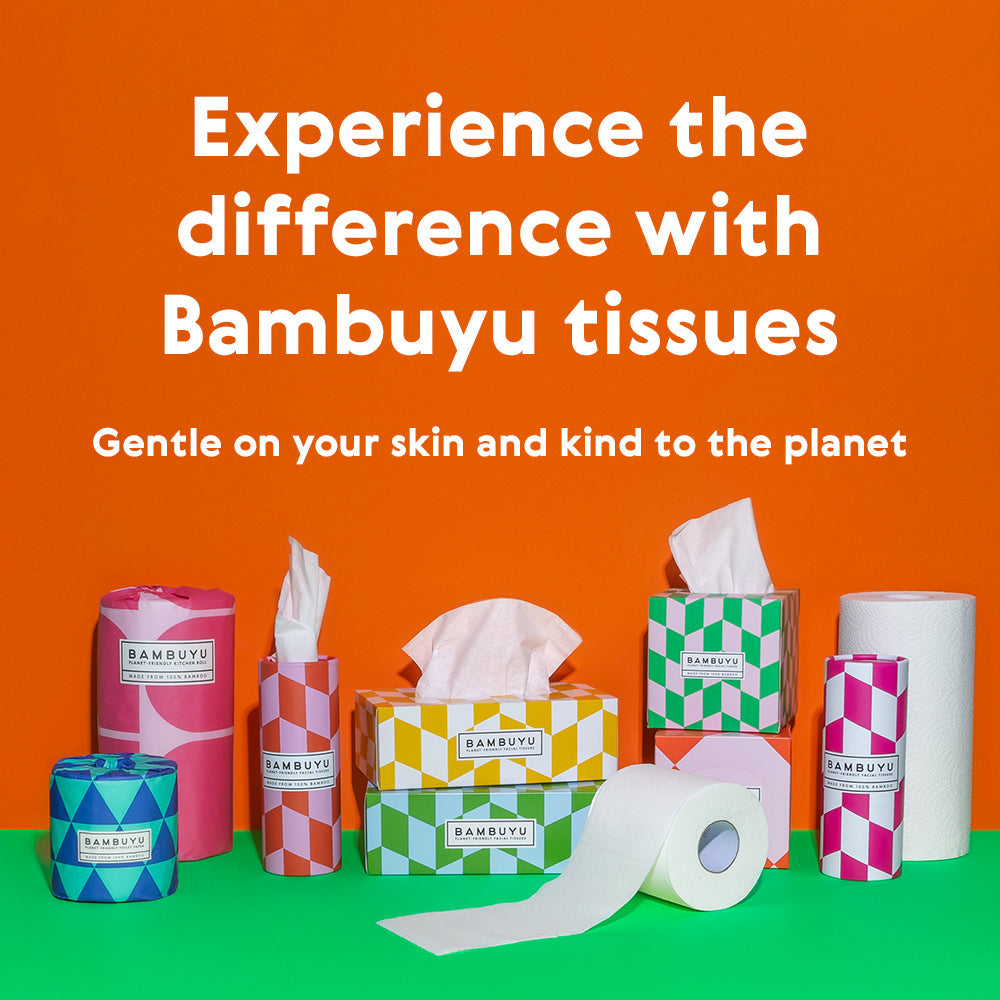 Bamboo Facial Tissue Box (12 pack)